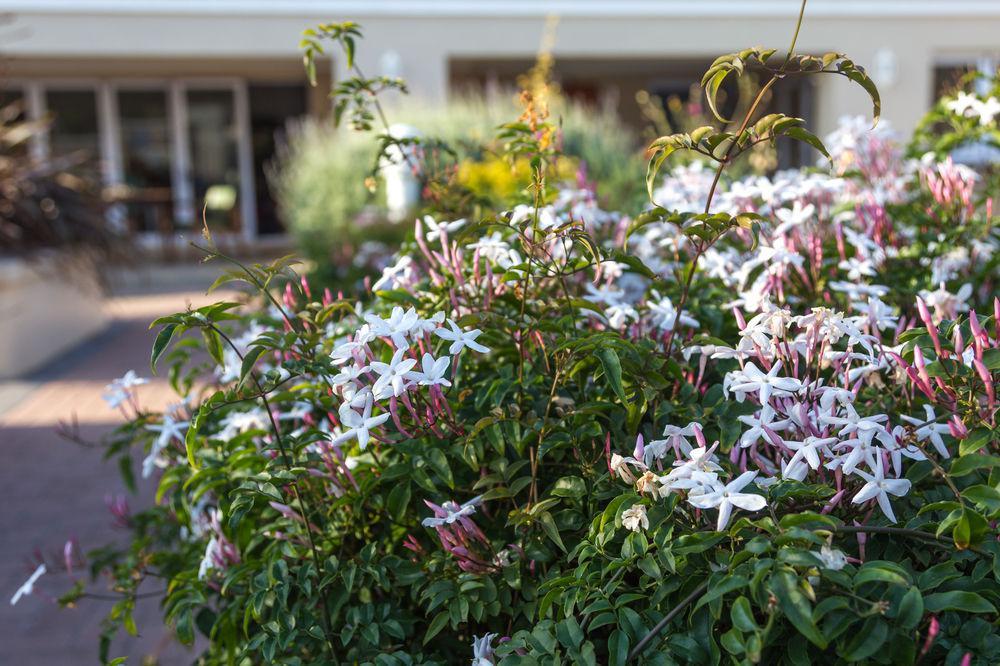 The Blue Lotus Guest House Port Elizabeth Exterior photo